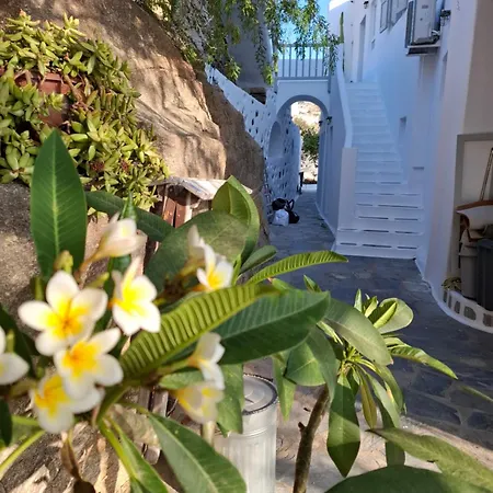 Daire Gazia Sea View House - *