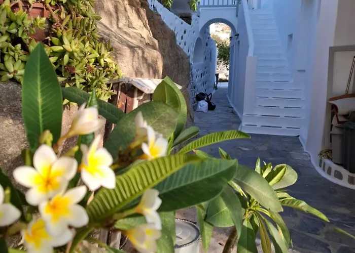 Apartment Gazia Sea View House - *